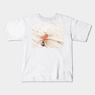 Tiny red-black ant, probably Formica aserva Kids T-Shirt